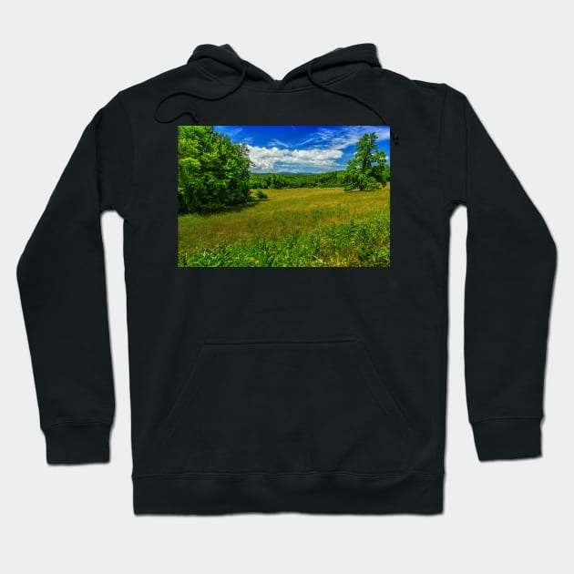 Virginia Summer Meadow Hoodie by Gestalt Imagery